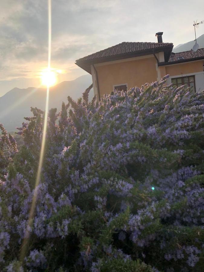 La Villa degli Orti Borgo Valsugana Esterno foto